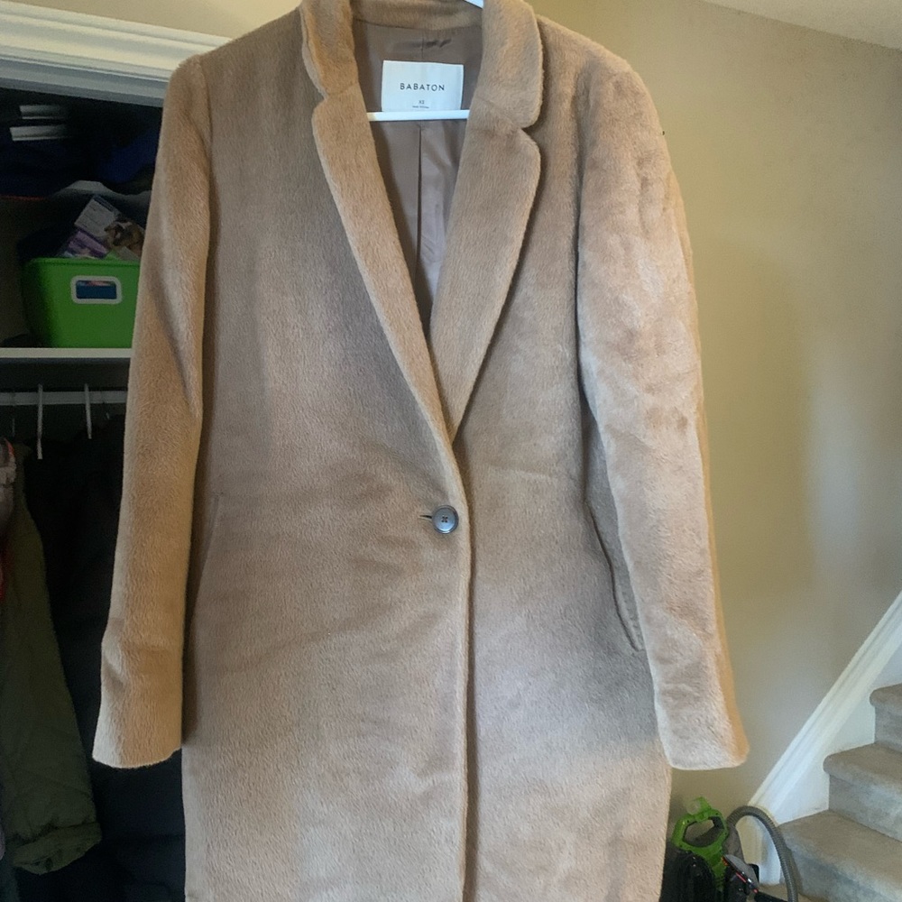 Aritzia Stedman Coat